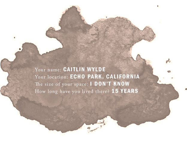 Questionnaire Caitlin Wylde - Scandinavia Standard 2