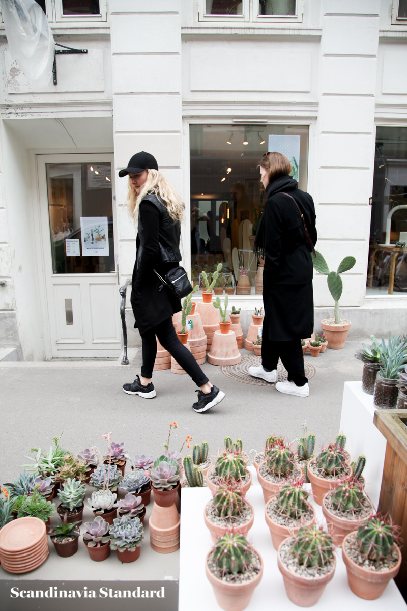 Kaktus Copenhagen - Street Style - Peeping in the store on Jægersborggade | Scandinavia Standard