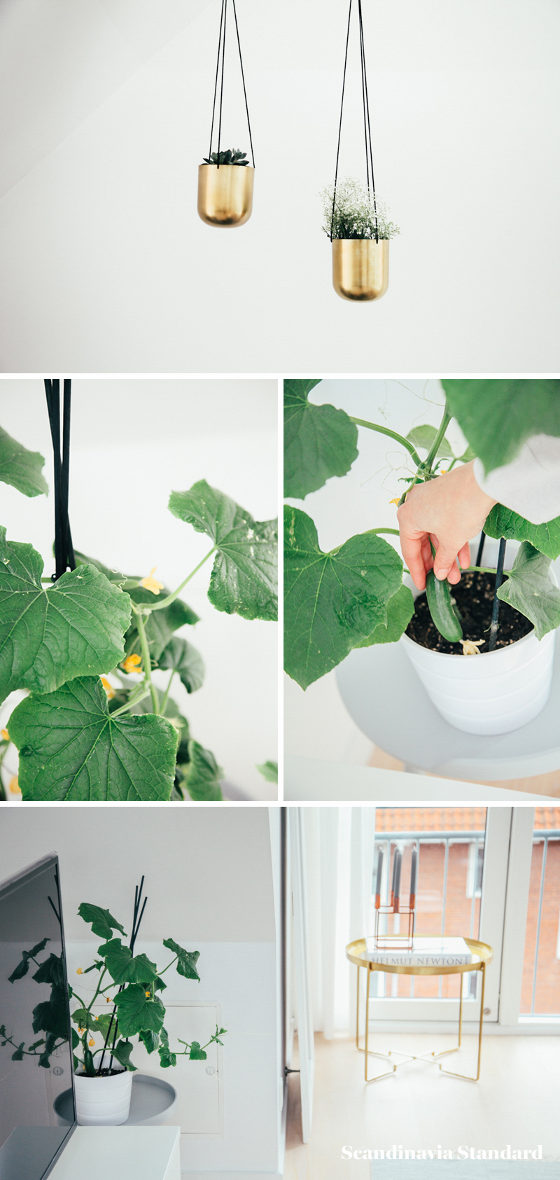 The White Room - Christina & Ulrich's Østerbro Apartment - Interiors - Collage 6 | Scandinavia Standard