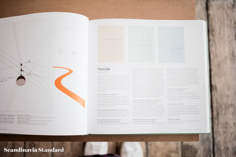 Hamide in Book | Scandinavia Standard