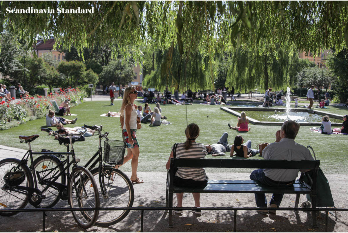 Where to Walk in Södermalm | Scandinavia Standard