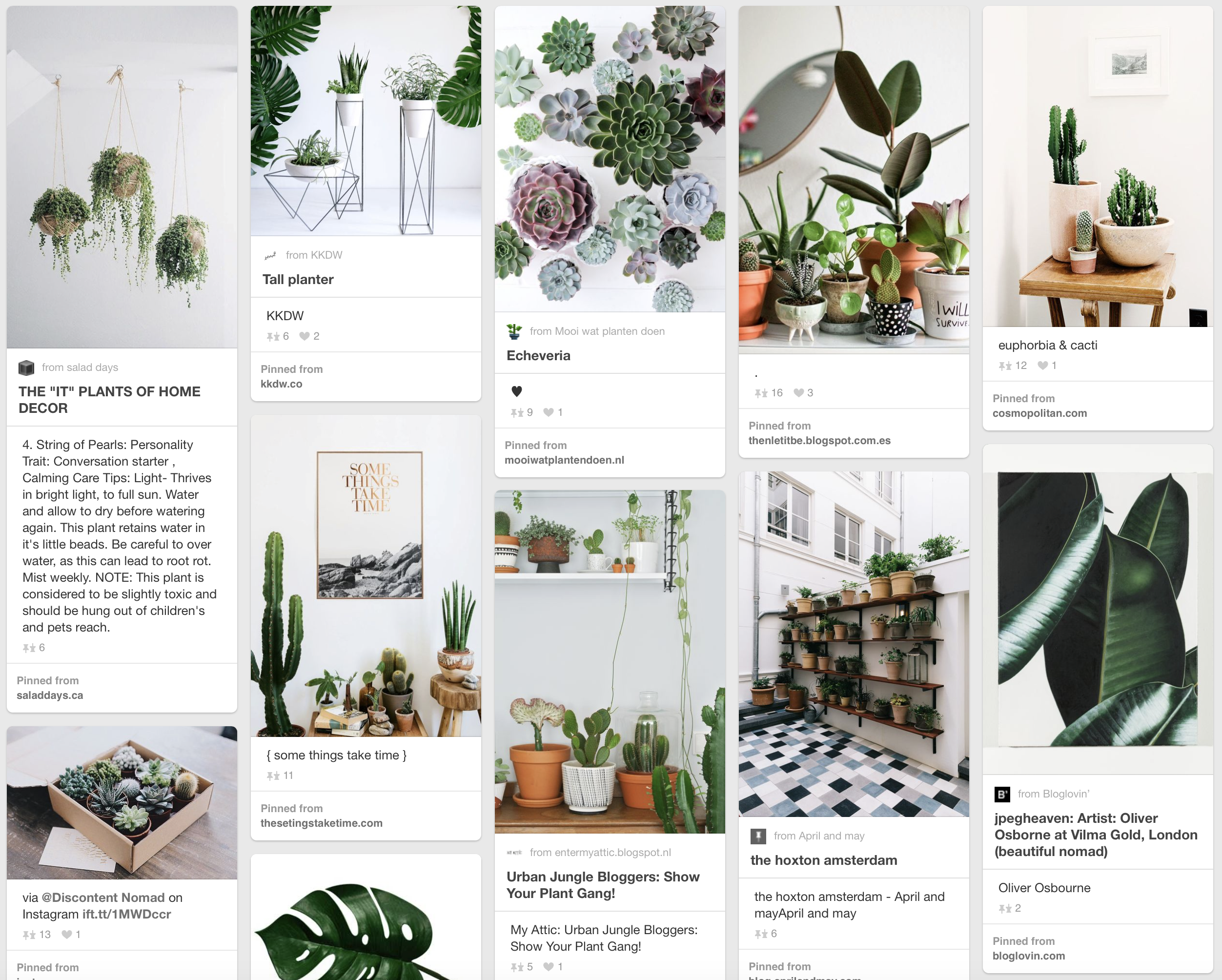 Scandinavia Standard Plants on Pinterest