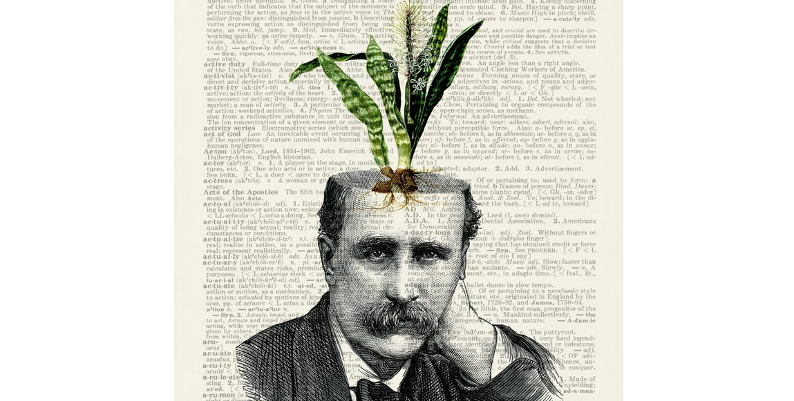 il_fullxfull.438313615_440c