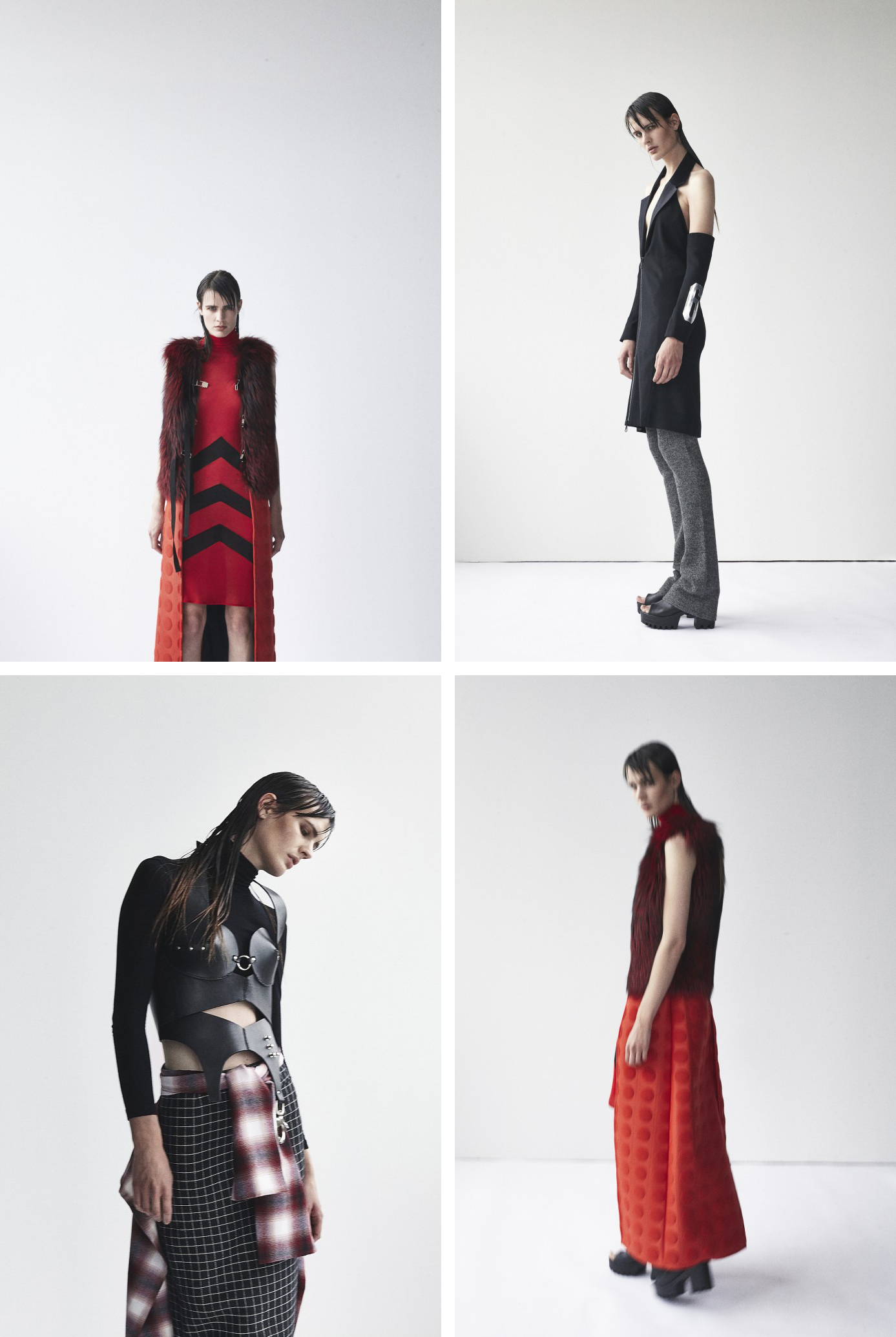 Maikel Tawadros | Scandinavia Standard