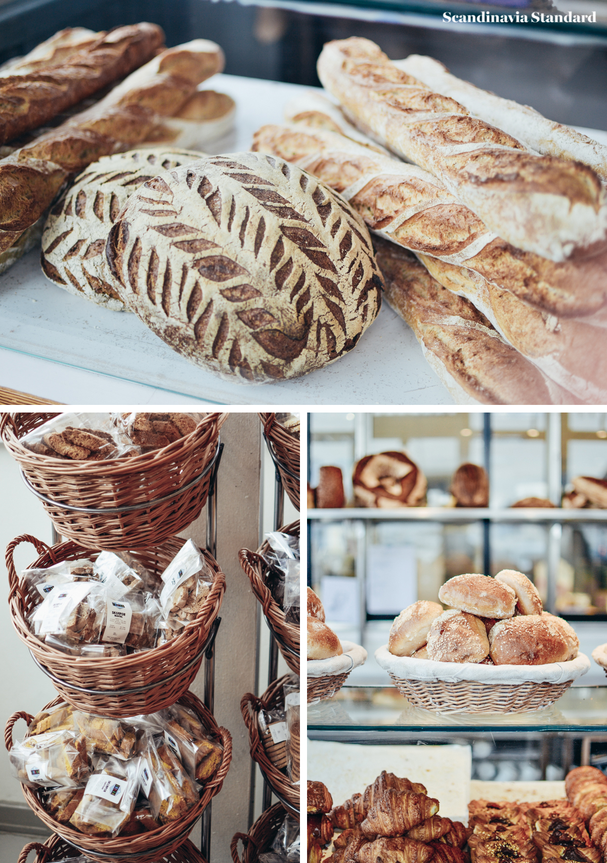 Scandi Six Bakeries - Brillo Box I Scandinavia Standard