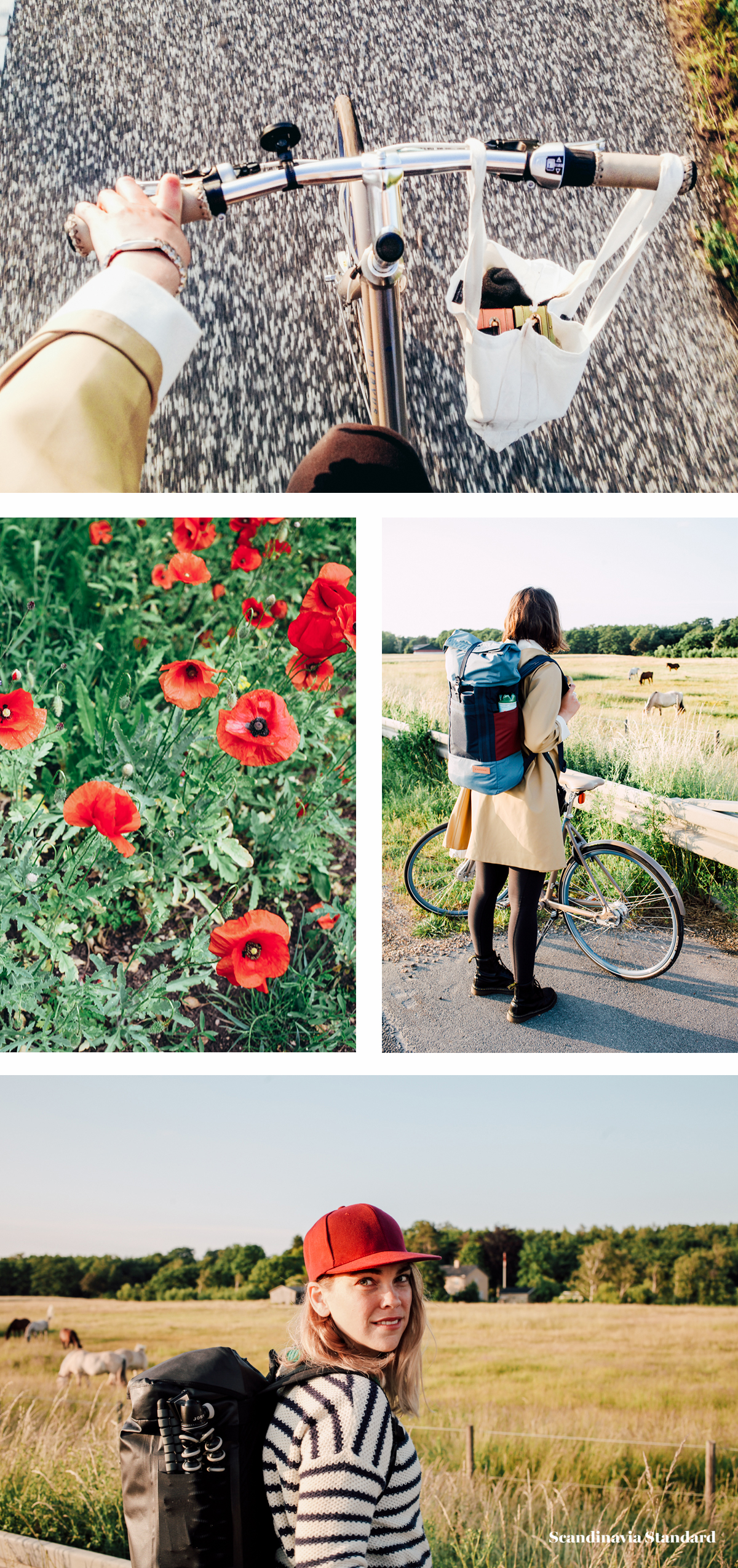 Cycling to Aarhus Sealland Denmark on Real Bikes | Scandinavia Standard1-2