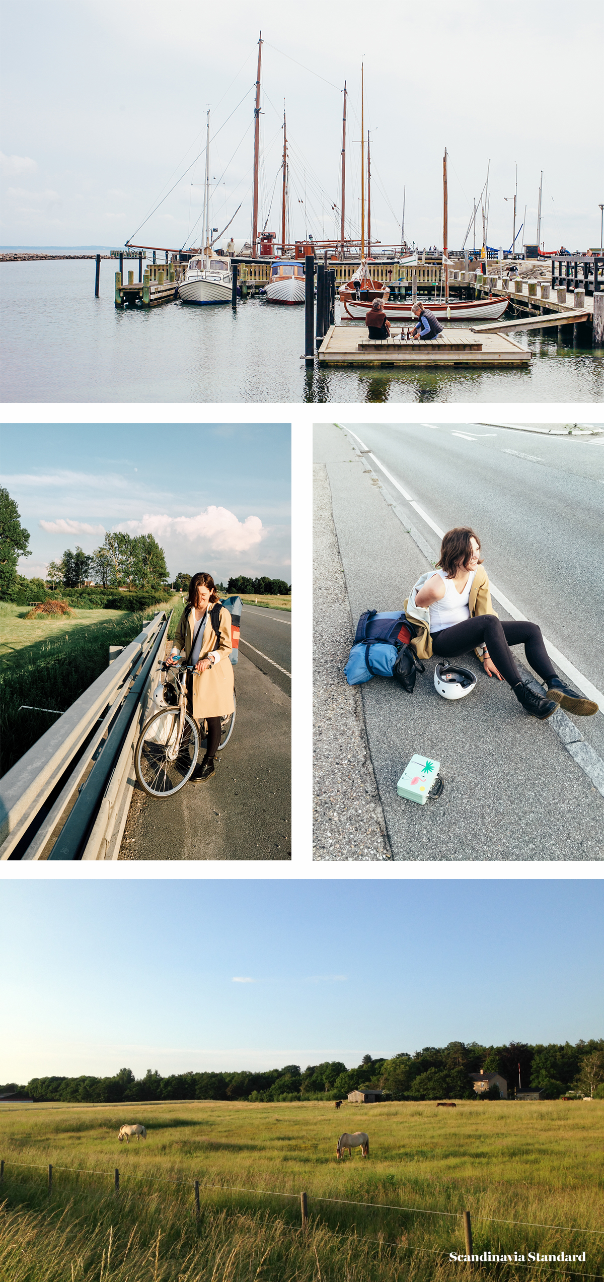 Cycling to Aarhus Sealland Denmark on Real Bikes | Scandinavia Standard4