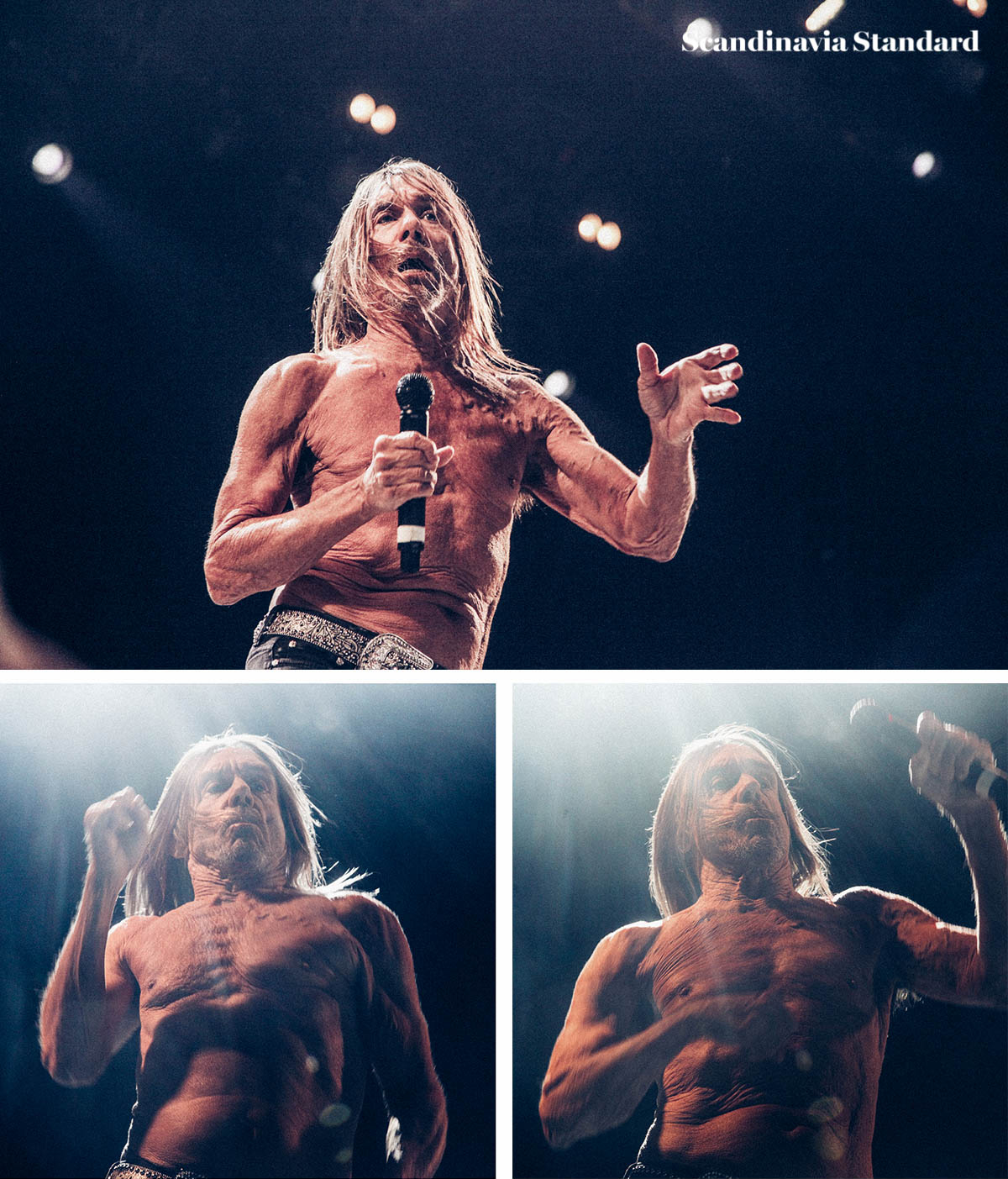 northside-festival-iggy-pop-2