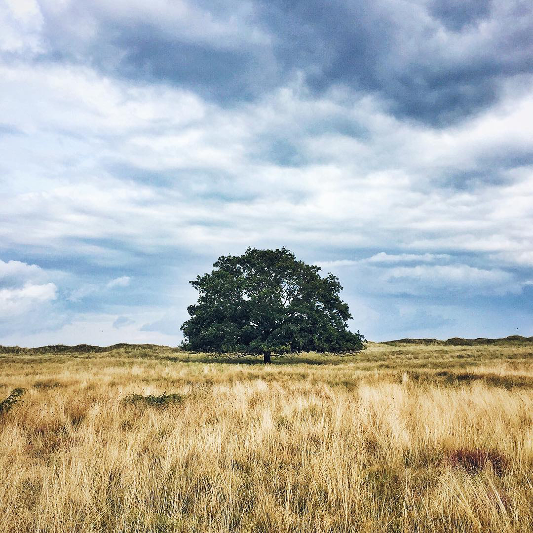 @simonlarsen | Danish Instagram to Follow | Scandinavia Standard