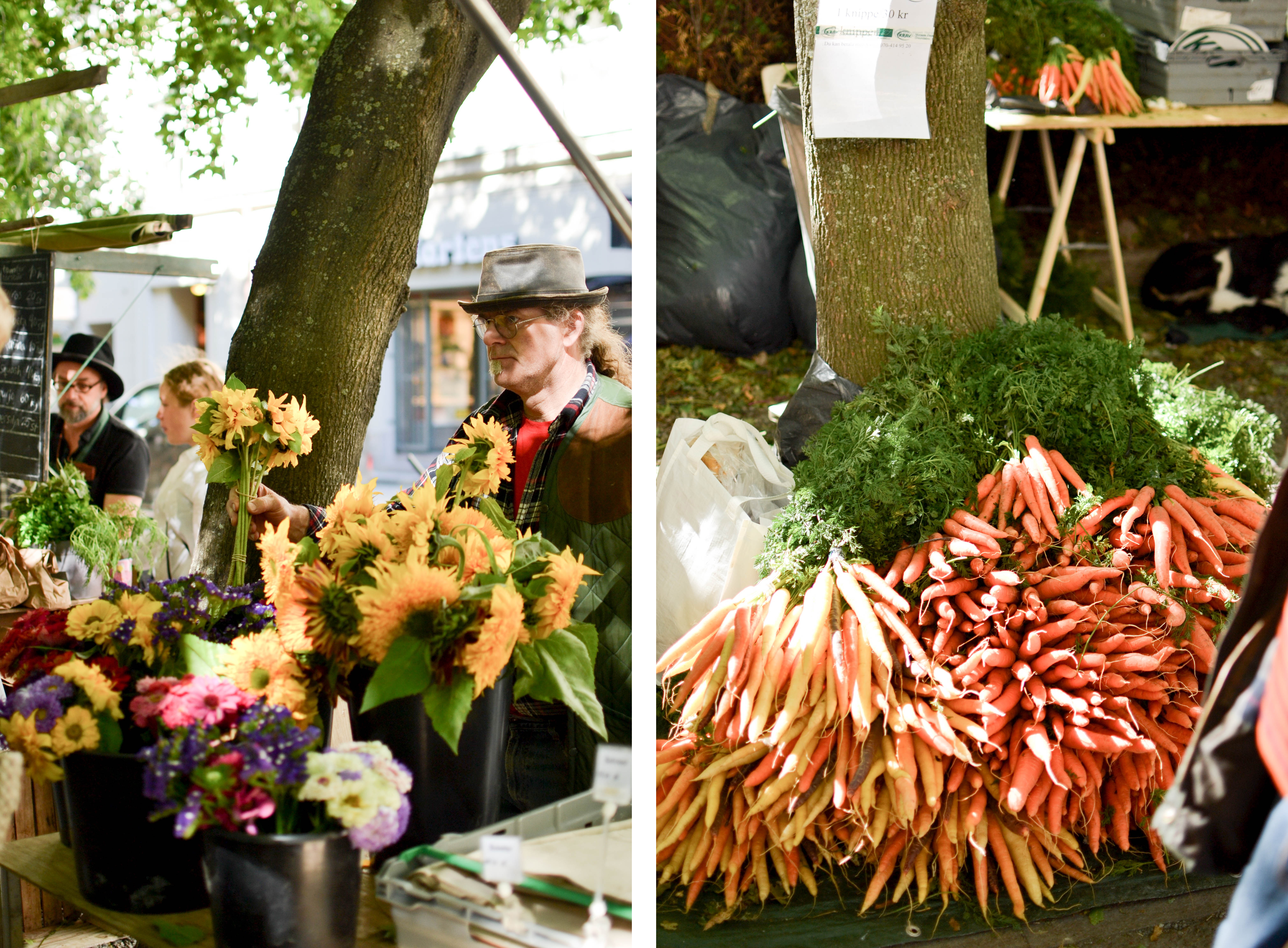 12-tourism-stockholm-bondens-marknad-1-i-scandinavia-standard