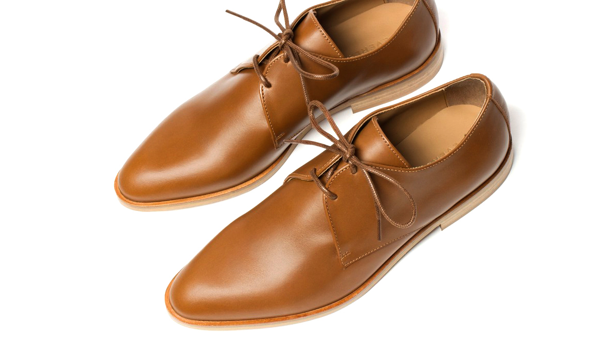 modern-oxford-in-cognac-by-everlane