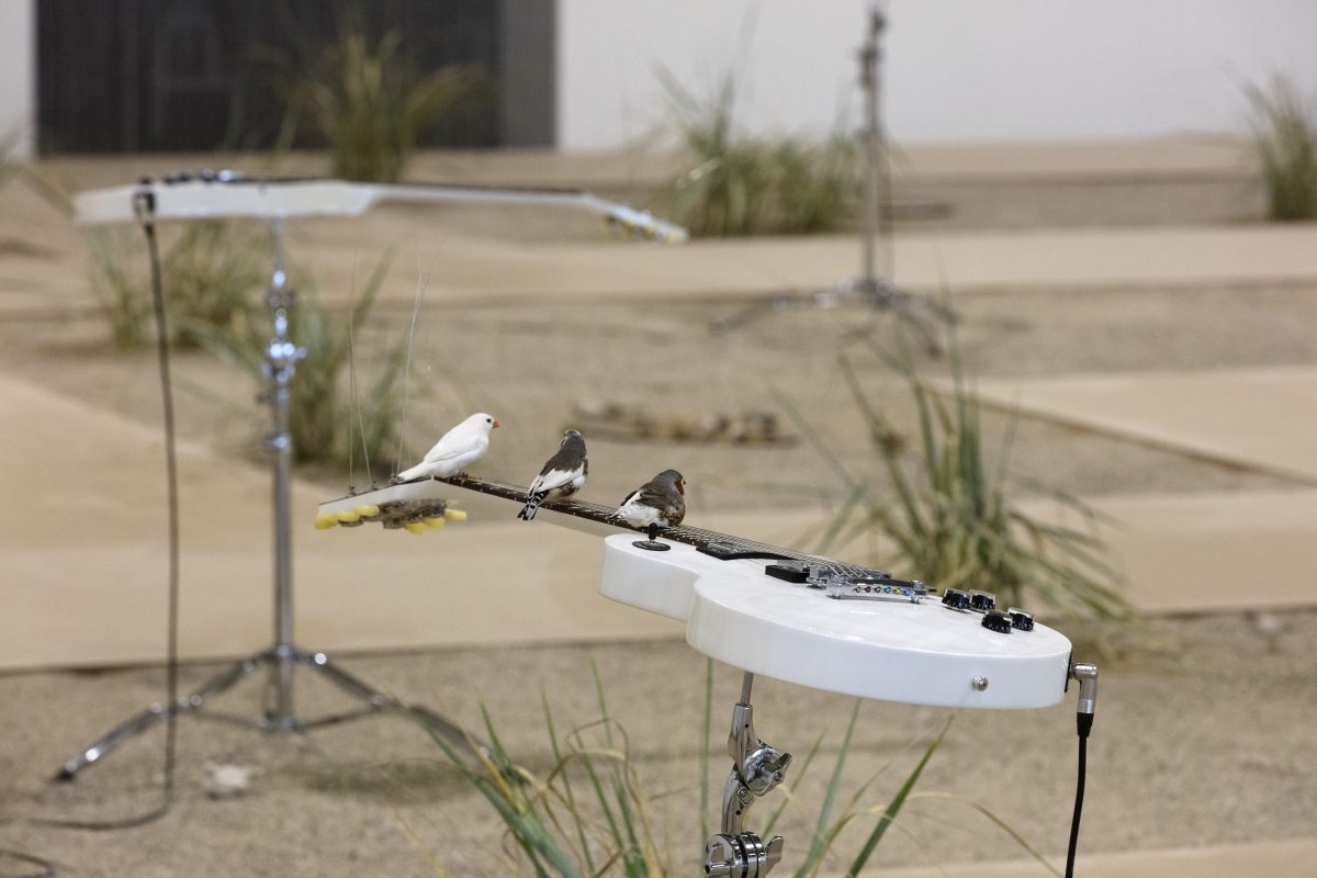 Céleste-Boursier-Mougenot-2016_3-1200x800