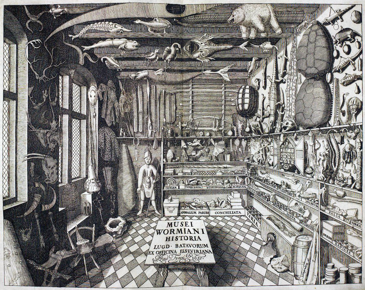 Cabinet of Curiosities - Ole Worm - Geological Museum Copenhagen | Scandinavia Standard