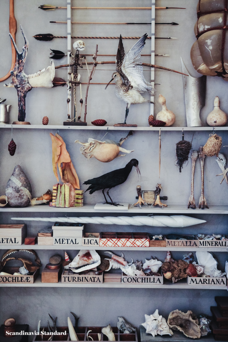 Taxidermy - Geological Museum - Geologisk Museum Copenhagen - Cabinet of Curiosities - Ole Worm | Scandinavia Standard