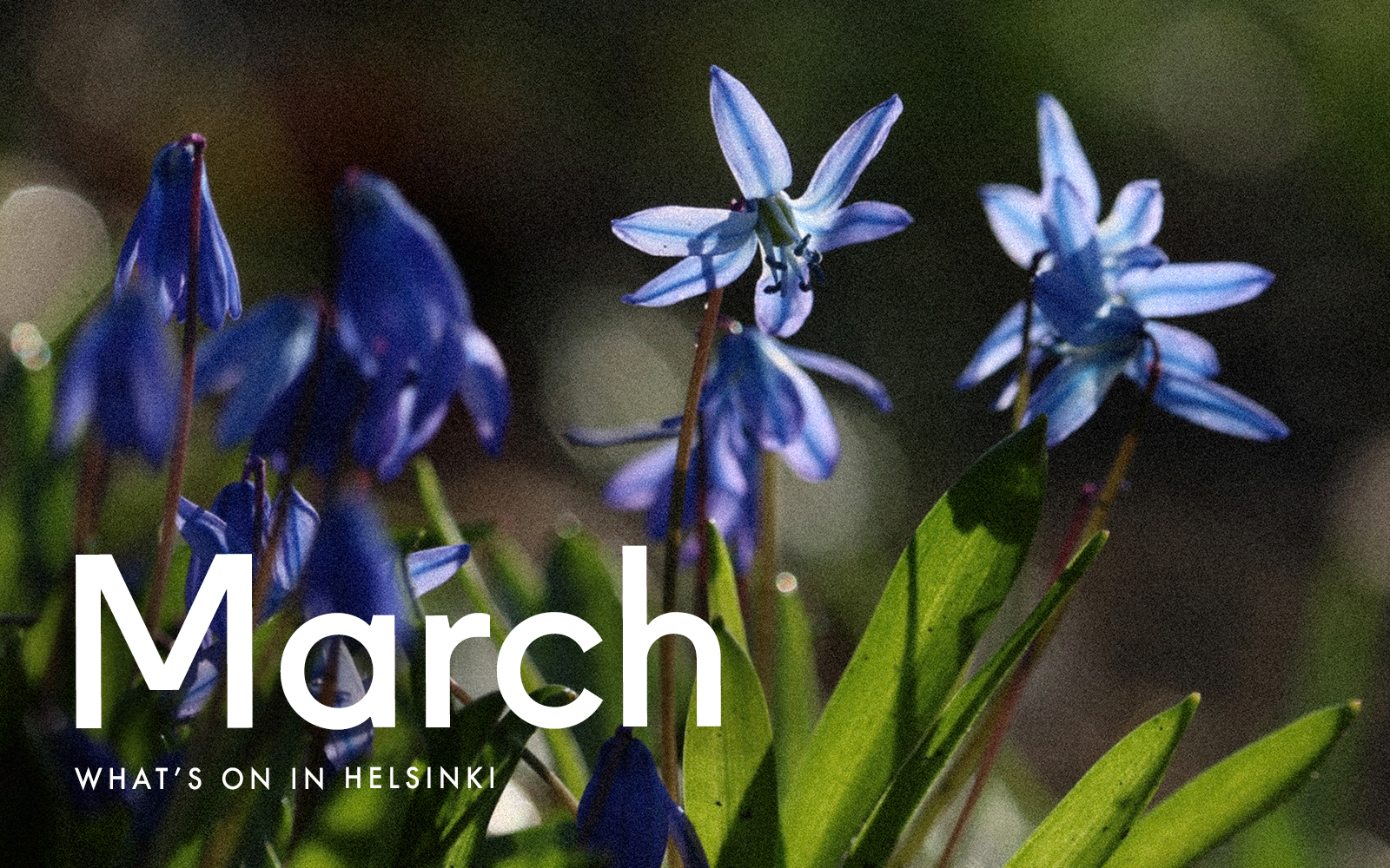 What's On in Helsinki: March 2021 - Scandinavia Standard