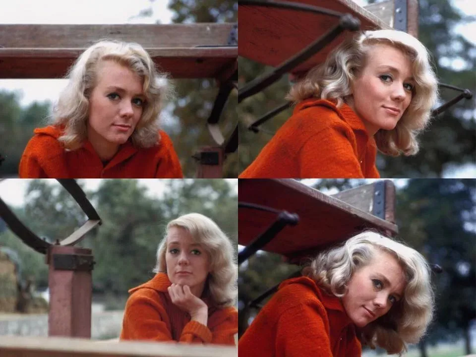 Four pictures of Inger Stevens sitting on a bench.