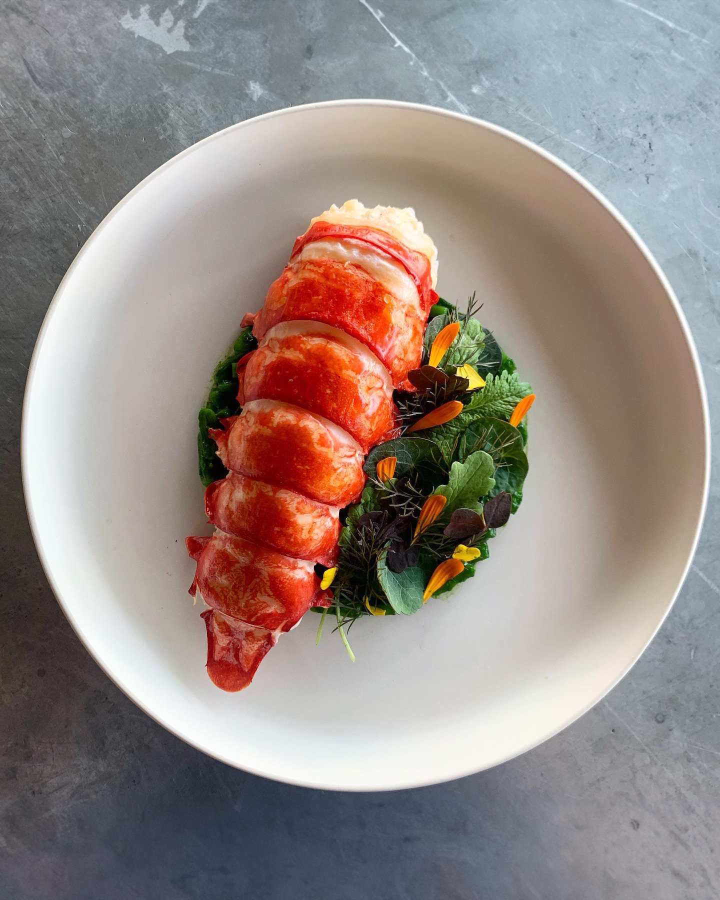 A white plate with a lobster tail at a Copenhagen restaurant.