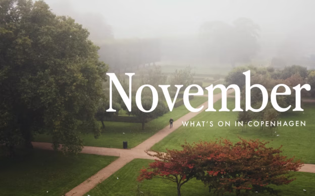 Foggy park in Copenhagen with intersecting paths, surrounded by trees, and a person walking. Text reads: "November: What's on In Copenhagen" Events Calendar