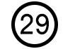 List Marker: Number 29