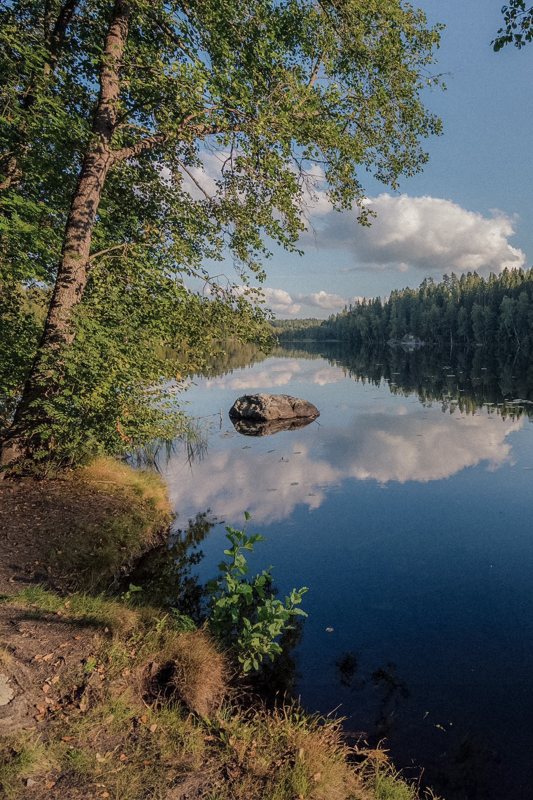 A serene lake along the Suolijärvi Trail in Tampere is surrounded by trees and reflects the blue sky and clouds, perfect for bird watching. A large rock protrudes from the water near the shore.