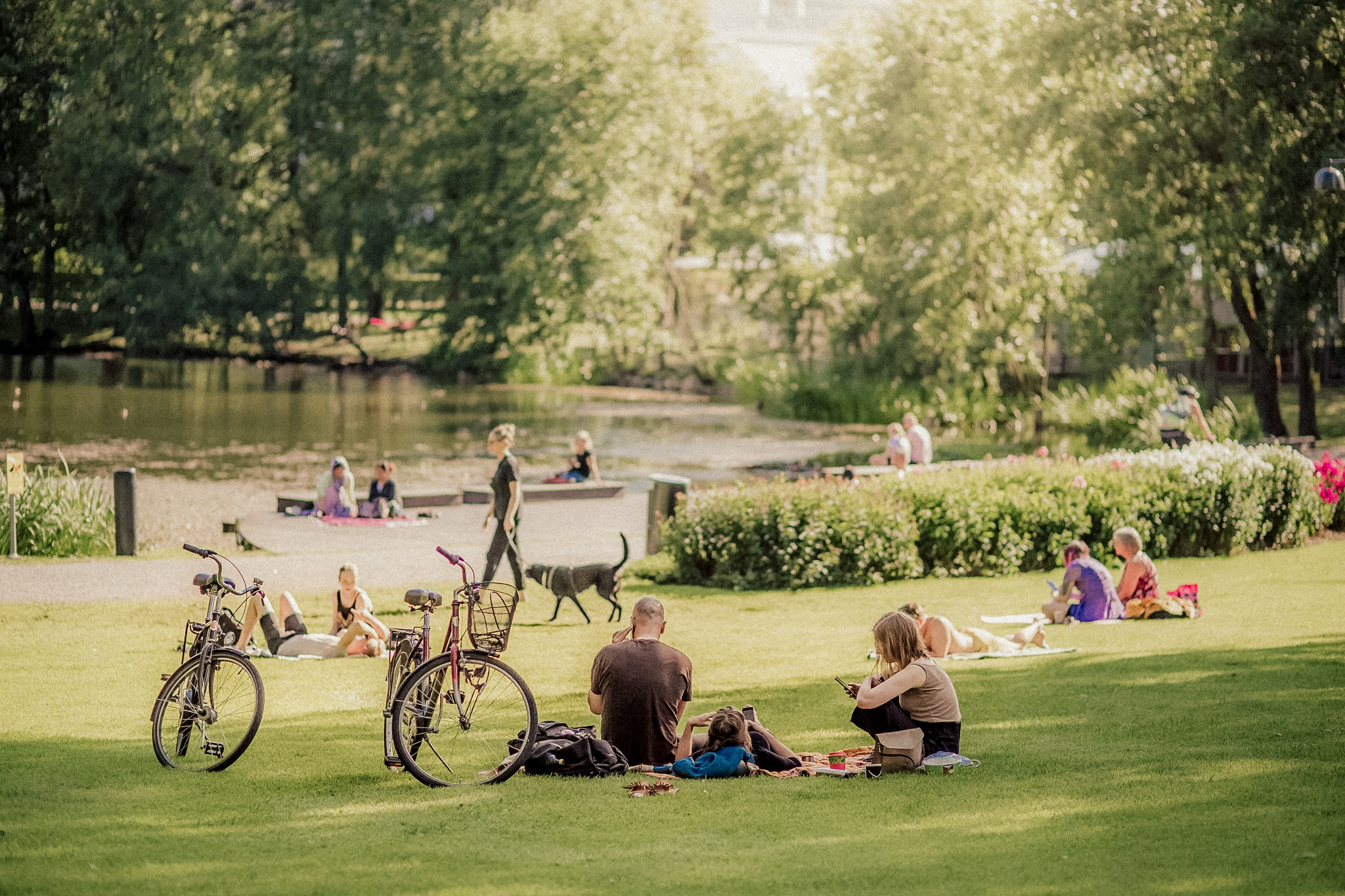 People relaxing on a grassy area near a lake in Sorsapuisto Park, Tampere, Finland, with bicycles parked nearby on a sunny day.