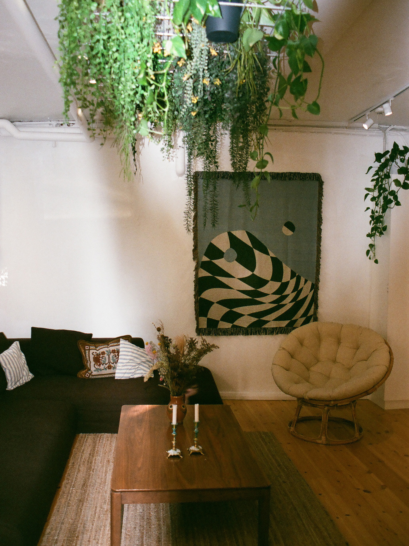 A modern yoga studio foyer, with plants and an abstract painting