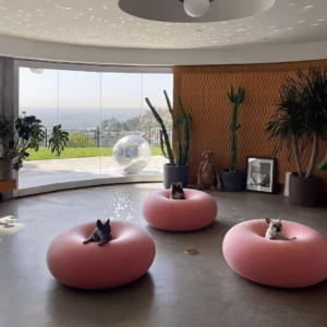 Three small dogs sit on pink circular seats in a modern living room with large windows, plants, and patterned lighting on the ceiling and walls.