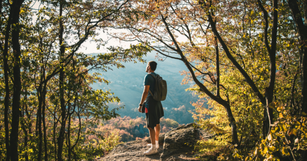 A person with a backpack stands on a rocky outcrop surrounded by trees, looking out over a sunlit, forested landscape.
