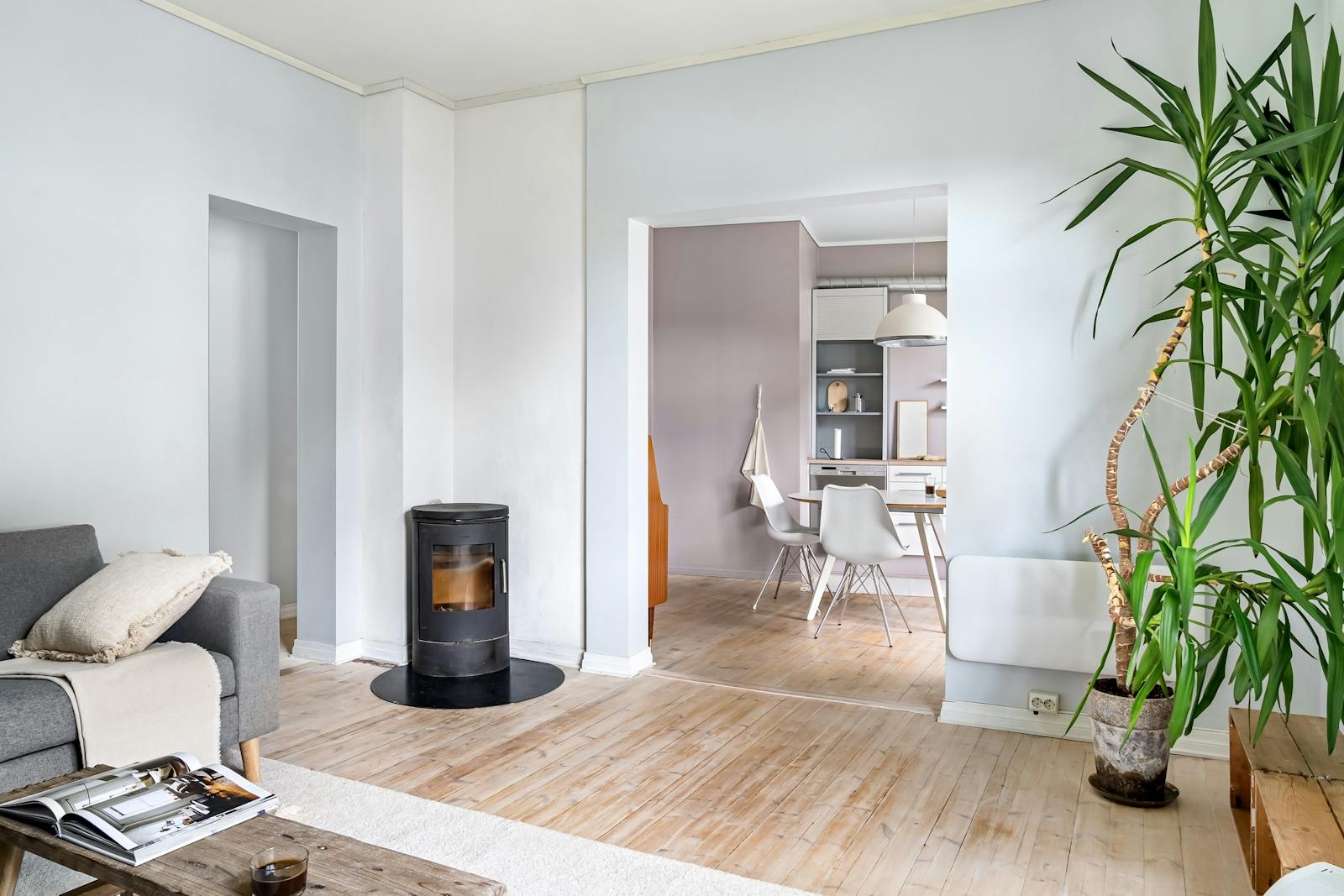 Danish cozy apartment interior