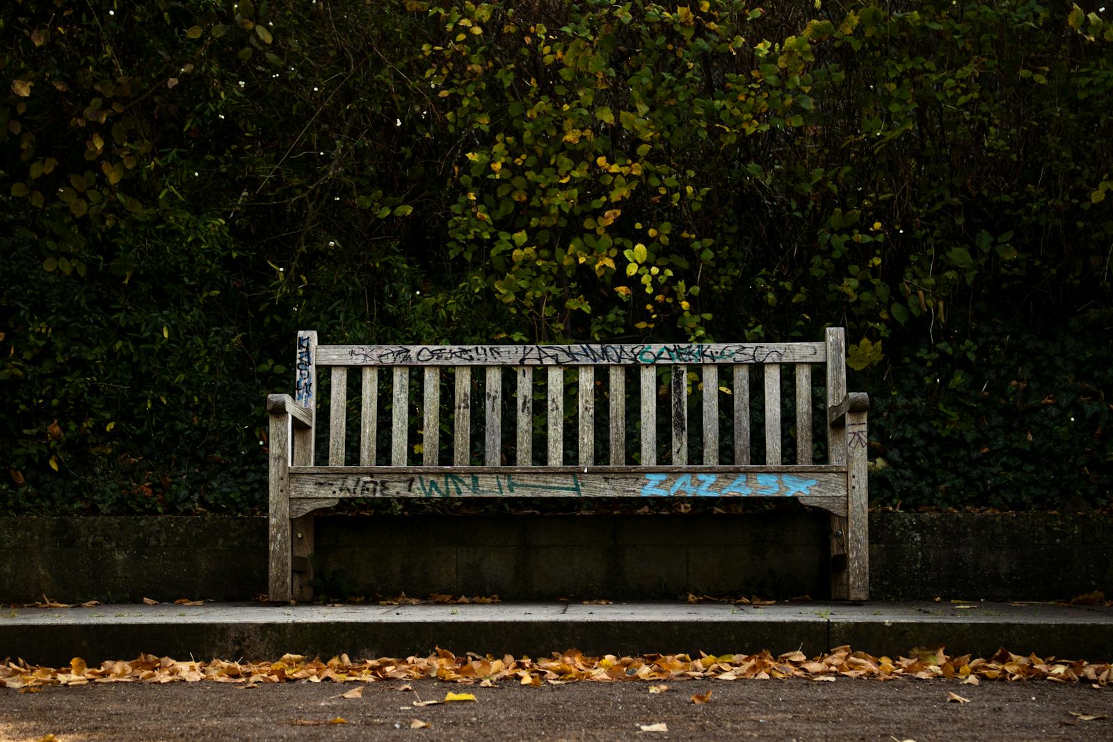 empty park bench autumn