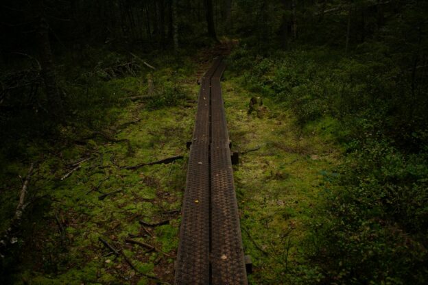 I grew up thinking ambition meant wanting more. Then I moved to Sweden and met people who simply wanted enough, and their lives looked like something I couldn't stop thinking about.