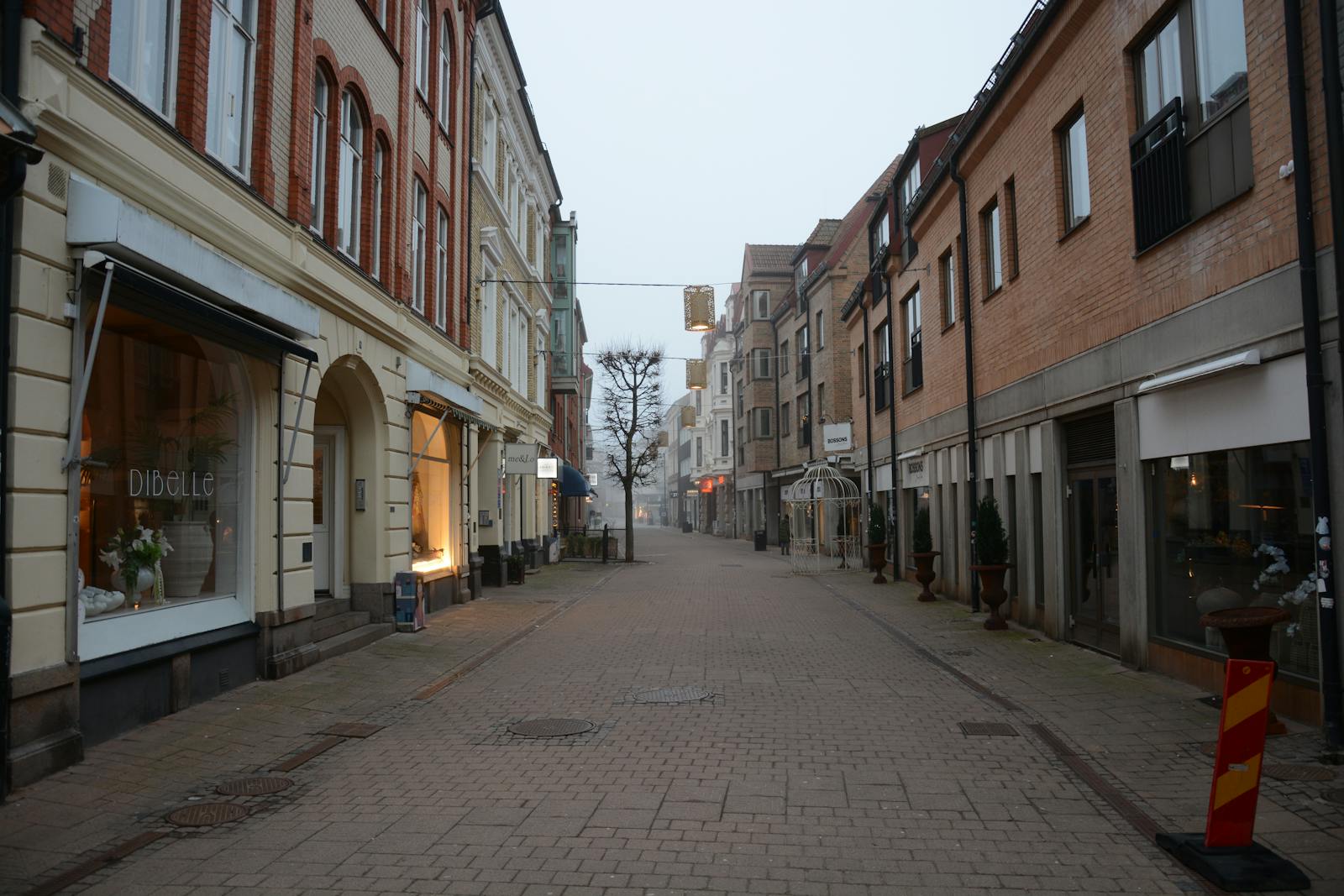 quiet Copenhagen street morning