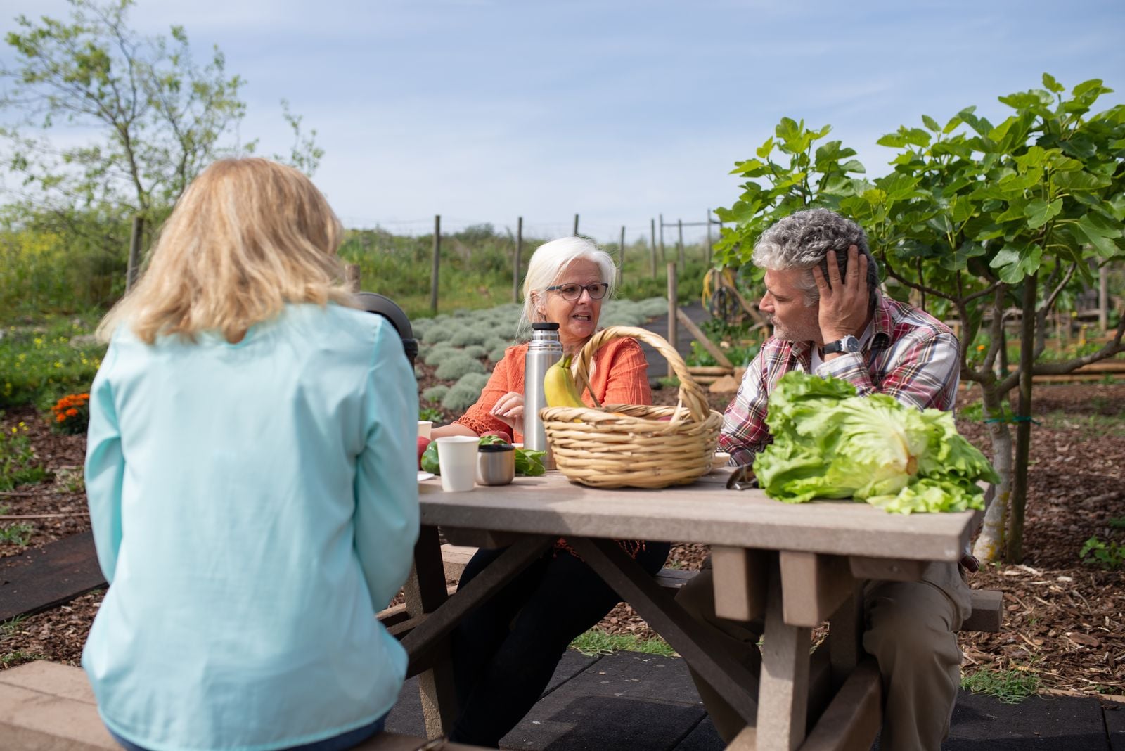 allotment garden conversation