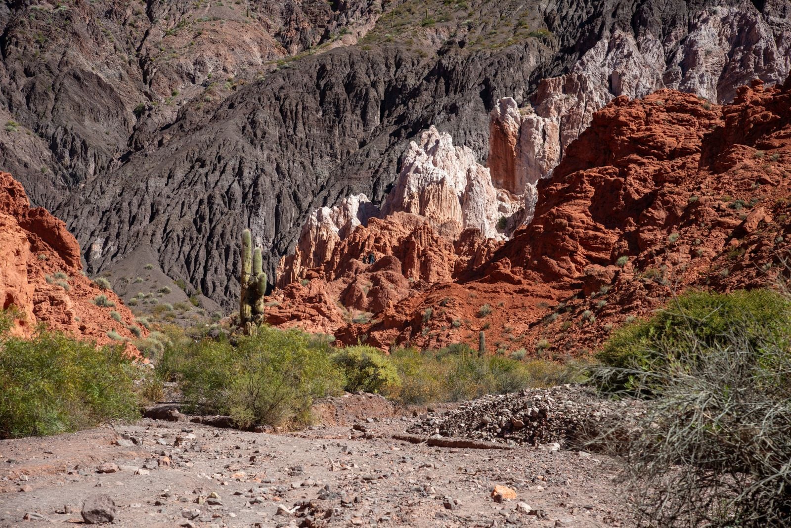 Atacama Desert red landscape