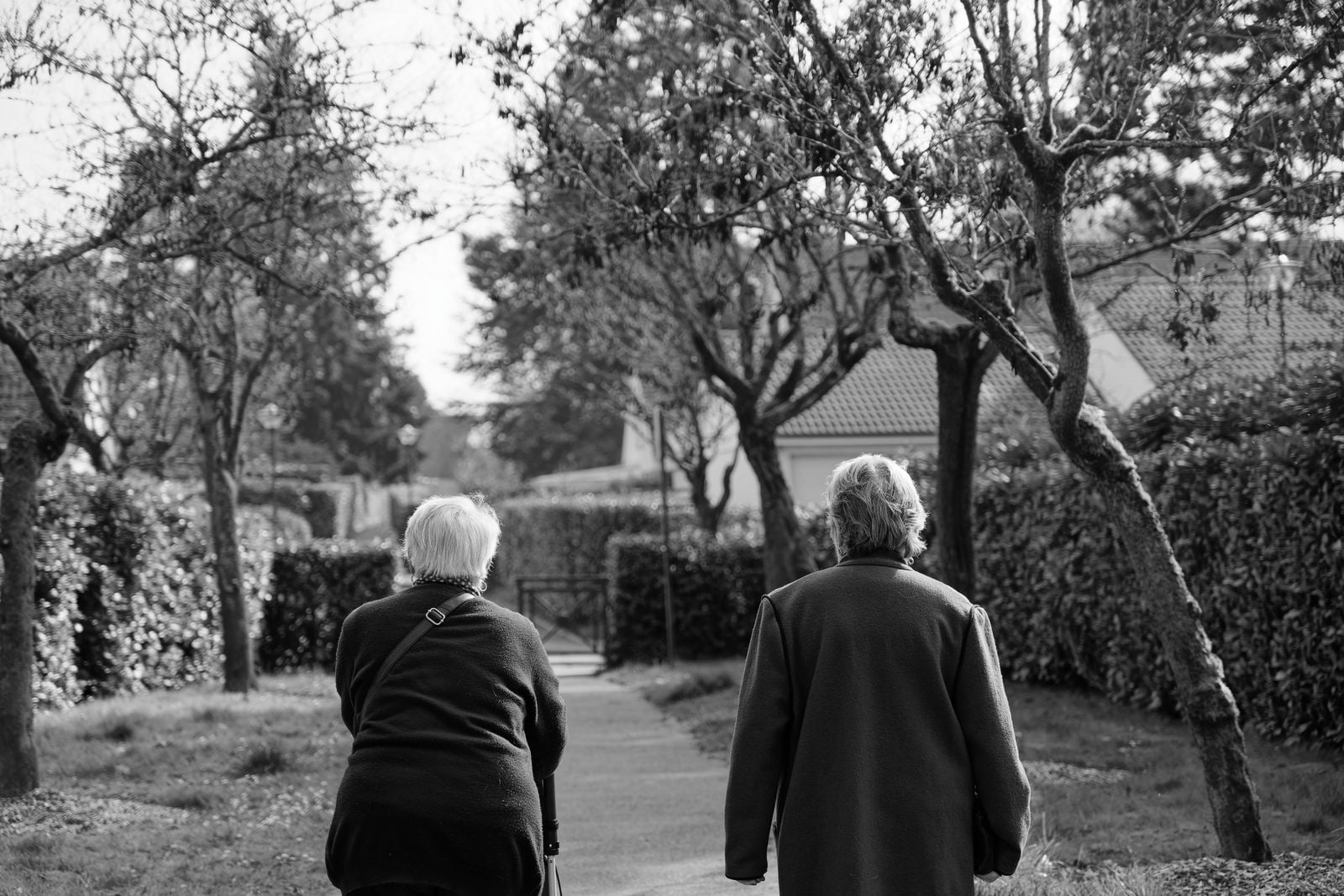 elderly friends walking together