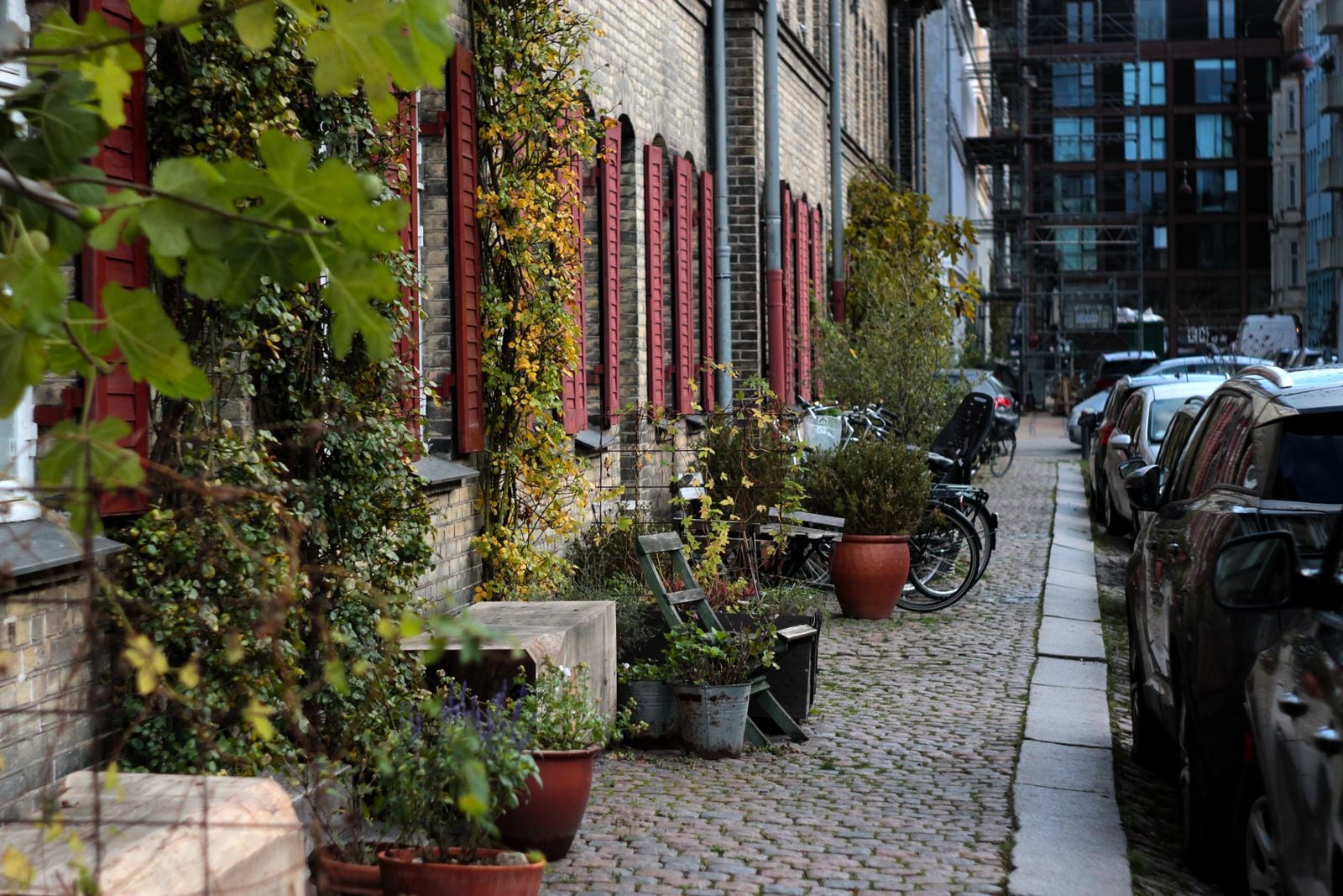quiet Copenhagen residential street