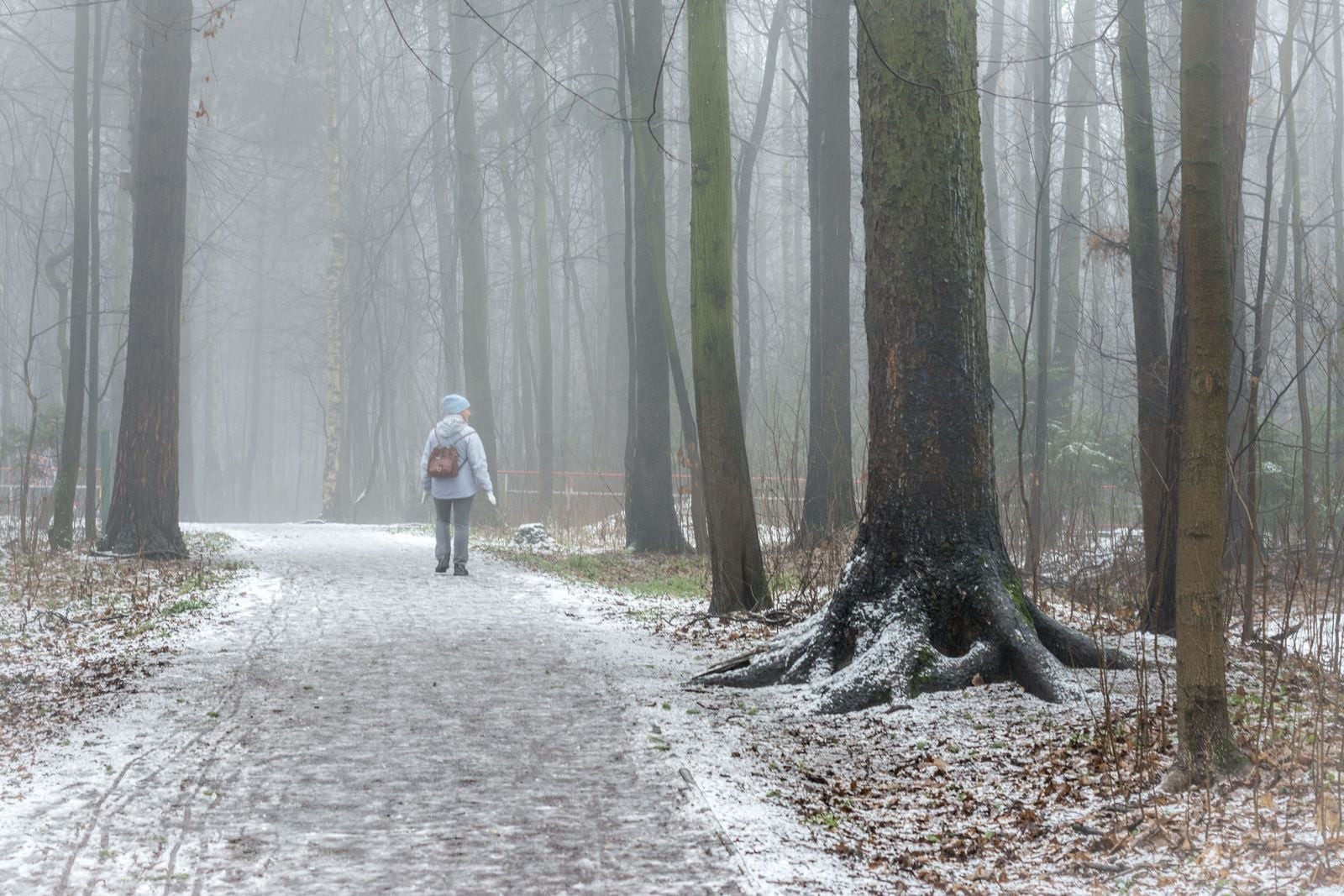 quiet morning walk path